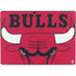 NBA Chicago Bulls Large Logo Surface Pro 8 Skin