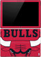 NBA Chicago Bulls Large Logo Surface Pro (2017) Skin