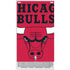 NBA Chicago Bulls Large Logo Xbox Series S Skins