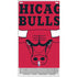 NBA Chicago Bulls Large Logo Xbox Series S Console Skin