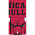 NBA Chicago Bulls Large Logo Xbox Series X Console Skin