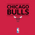 NBA Chicago Bulls Standard - Red Nintendo 2DS XL (2017) Skin