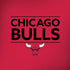 NBA Chicago Bulls Standard - Red iPhone X Pro Case