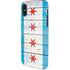 Chicago Flag Light Wood iPhone X Pro Case