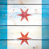 Chicago Flag Light Wood iPhone X Pro Case
