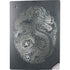 Chinese Black Dragon PS5 Digital Edition Console Skin