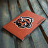 NFL Cincinnati Bengals - Alternate Distressed HP Envy Skin