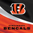 NFL Cincinnati Bengals Nintendo 2DS XL (2017) Skin