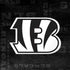NFL Cincinnati Bengals Black & White iPhone X Skin
