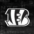 NFL Cincinnati Bengals Black & White iPhone XS Pro Case