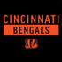 NFL Cincinnati Bengals Black Performance Series PS4 Console Skin