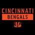 NFL Cincinnati Bengals Black Performance Series PS4 Controller Skin