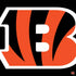 NFL Cincinnati Bengals Large Logo PS4 Slim Skin