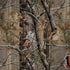 NFL Cincinnati Bengals Realtree AP Camo Notebook 9 Pro 13in (2017) Skin