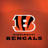 NFL Cincinnati Bengals Team Jersey Galaxy Note 8 Skin