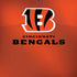 NFL Cincinnati Bengals Team Jersey iPhone X Skin