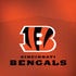 NFL Cincinnati Bengals Team Jersey Moto G6 Skin