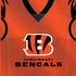 NFL Cincinnati Bengals Team Jersey PS4 Console and Controller Bundle Skin