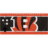 NFL Cincinnati Bengals Zone Block Xbox Adaptive Controller Skin