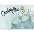 Disney Princess Cinderella Curtsy Art MacBook Pro 14in (2021-24) Skin