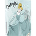 Disney Princess Cinderella Curtsy Art PS5 Bundle Skin