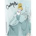 Disney Princess Cinderella Curtsy Art PS5 Console Skin