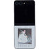 Disney Cinderella Will I Meet My Prince Galaxy Z Flip5 5G Skin