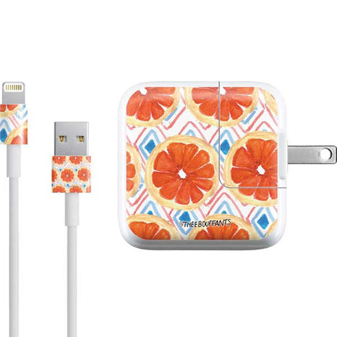 Bouffants and Broken Hearts Citrus Geo iPad Charger (10W USB) Skin