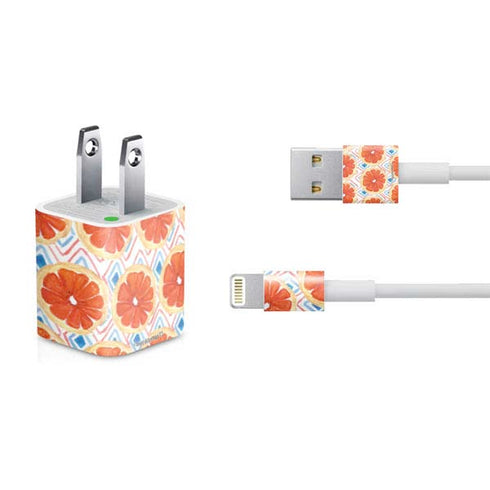Bouffants and Broken Hearts Citrus Geo iPhone Charger (5W USB) Skin
