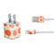 Bouffants and Broken Hearts Citrus Geo iPhone Charger (5W USB) Skin