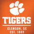 Clemson University Tigers Est 1889 Orange Legion Y720 Skin