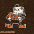 NFL Cleveland Browns Alternate Distressed PS4 Pro/Slim Controller Skin