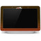 NFL Cleveland Browns Breakaway Google Home Hub Skin