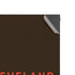 NFL Cleveland Browns Brown Performance Series Xbox Series X Console Skin