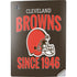 NFL Cleveland Browns Helmet PS5 Digital Edition Console Skin