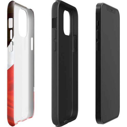 NFL Cleveland Browns iPhone 12 Impact Case