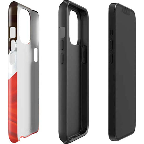 NFL Cleveland Browns iPhone 15 Pro Max Impact Case