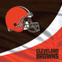NFL Cleveland Browns PS4 Pro/Slim Controller Skin
