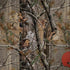 NFL Cleveland Browns Realtree AP Camo Legion Y720 Skin