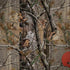 NFL Cleveland Browns Realtree AP Camo Notebook 9 Pro 13in (2017) Skin