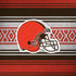 NFL Cleveland Browns Trailblazer Dell Alienware Skin