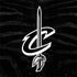 NBA Cleveland Cavaliers Black Animal Print Notebook 9 Pro 13in (2017) Skin