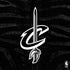 NBA Cleveland Cavaliers Black Animal Print PS4 Pro/Slim Controller Skin