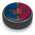 NBA Cleveland Cavaliers Canvas Amazon Echo Dot Skin