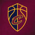 NBA Cleveland Cavaliers Distressed Notebook 9 Pro 13in (2017) Skin