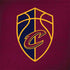 NBA Cleveland Cavaliers Distressed Surface Book 2 13.5in Skin