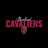 NBA Cleveland Cavaliers Elephant Print iPhone XR Skin