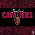 NBA Cleveland Cavaliers Elephant Print PS4 Slim Bundle Skin