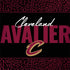 NBA Cleveland Cavaliers Elephant Print HP Spectre Skin