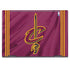 NBA Cleveland Cavaliers Jersey HP Envy Skin
